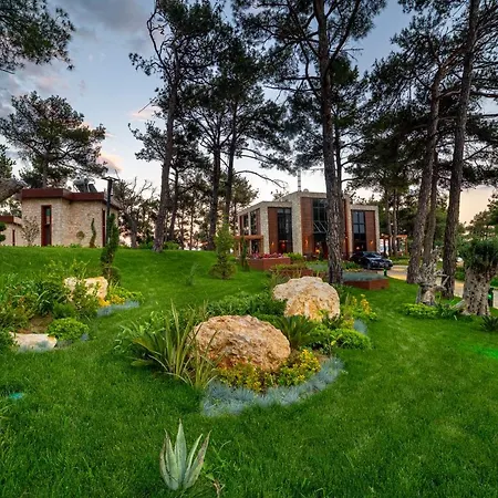 Marisstone * Mecidiye