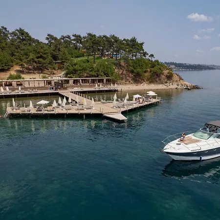 Marisstone * Mecidiye